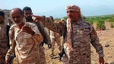 الشنفره من جبهات الضالع: جاهزية عالية للقوات والحو ثي لن يكسر إرادة المقاتلين وتطورات ميدانية مرتقبة