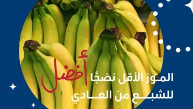"الصحة" تكشف سر الموز قبل التمرين.. الأقل نضجًا للشبع والأشد نضجًا للطاقة السريعة