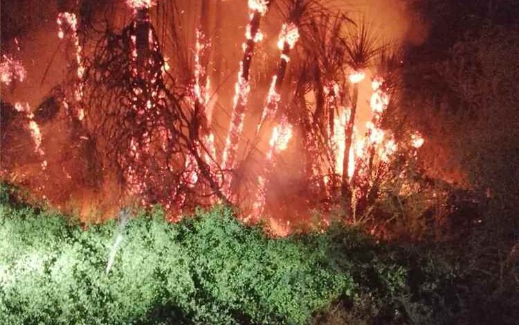 اللواء السادس بدرع الوطن يشارك في إخماد حريق هائل في إحدى المزارع بمديرية القطن