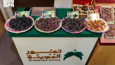 المدينة المنورة تنتج 347 ألف طن من التمور بنمو 8.4% خلال 7 سنوات
