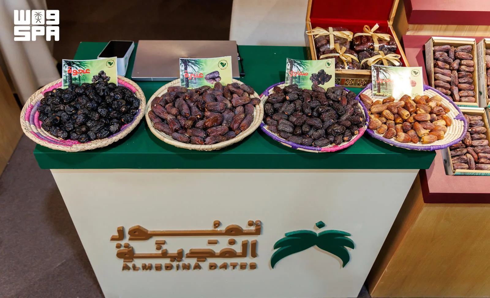المدينة المنورة تنتج 347 ألف طن من التمور بنمو 8.4% خلال 7 سنوات