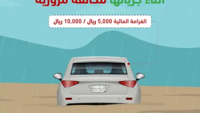 «المرور» يحذر من عبور الأودية أثناء جريانها بغرامة تصل إلى 10 آلاف ريال