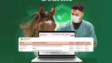 المملكة خالية رسميًا من «الدورين».. اعتراف دولي يعزز مكانتها في صحة الخيول ودعم بطولات الفروسية