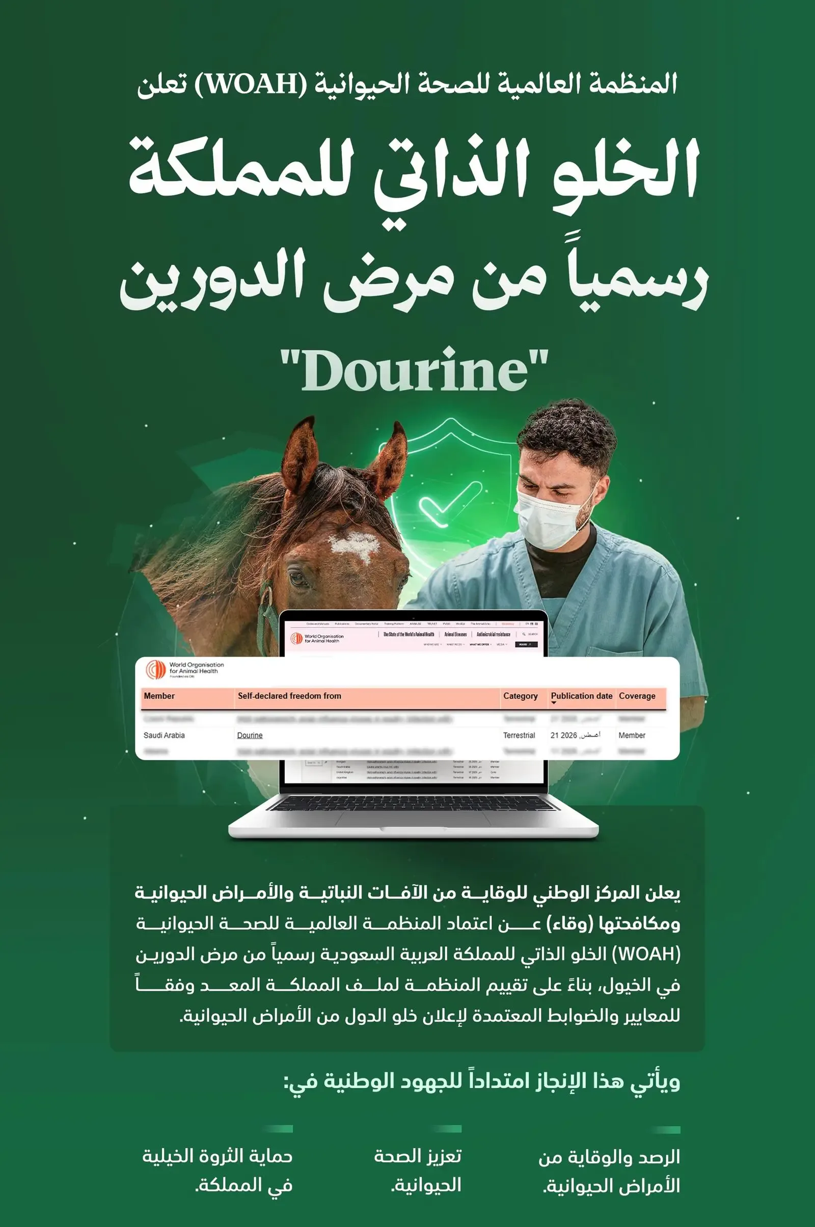 المملكة خالية رسميًا من «الدورين».. اعتراف دولي يعزز مكانتها في صحة الخيول ودعم بطولات الفروسية