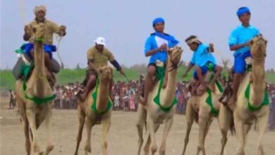 النخيلة بالحديدة تحتفي بموسم التمور بمهرجان تراثي وشعبي