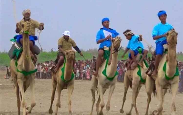النخيلة بالحديدة تحتفي بموسم التمور بمهرجان تراثي وشعبي