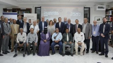 الوزير دماج والأميرة دانا يفتتحان ورشة دولية حول مكافحة الاتجار غير المشروع بالممتلكات الثقافية اليمنية