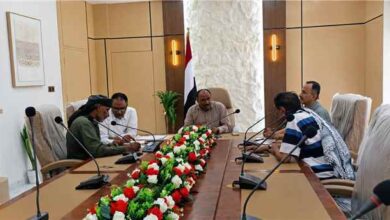 برئاسة الوكيل الأحمدي.. اللجنة المالية بشبوة تناقش مستوى تحصيل الإيرادات وتحقيق الربط المالي