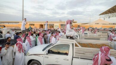 بمشاركة محلية ودولية.. كرنفال بريدة الدولي للتمور ينطلق لمدة 75 يومًا