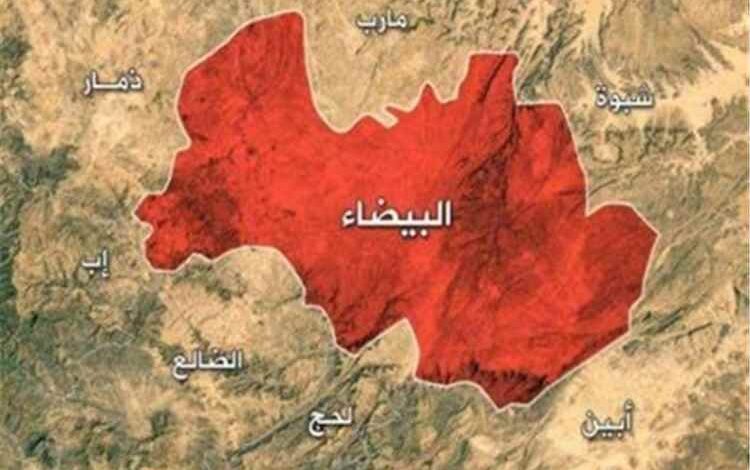 المشهد اليمني - تحذيرات حقوقية من تصعيد ميداني وانتهاكات حوثية جديدة في البيضاء