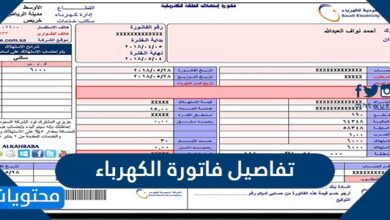 تفاصيل فاتورة الكهرباء