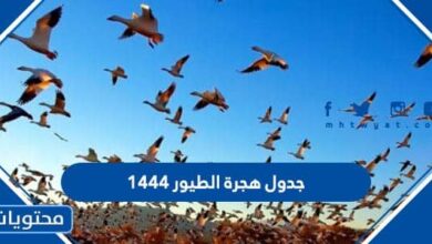 جدول هجرة الطيور 1444