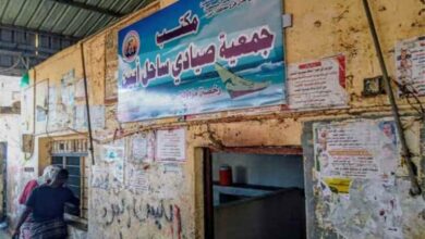 جمعية صيادي ساحل أبين السمكية تستعد لتنفيذ ساحة حراج متكاملة بتمويل سعودي