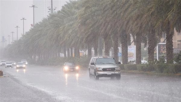 حالة الطقس اليوم.. سحب رعدية ممطرة مصحوبة برياح نشطة على عدة مناطق