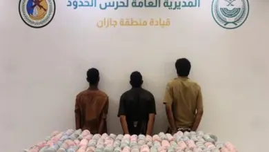 حرس الحدود بجازان يقبض على 3 مخالفين لترويجهم 82 كيلوجرامًا من نبات القات المخدر