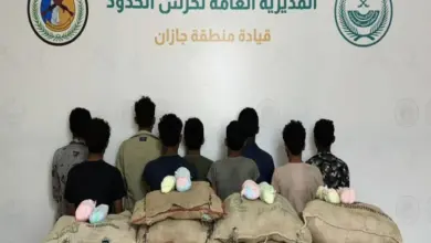 حرس الحدود بجازان يقبض على 9 مخالفين لتهريب 144 كيلوجرامًا من القات المخدر