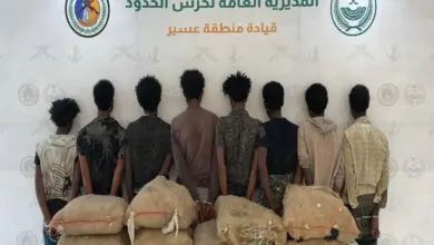 حرس الحدود بعسير يقبض على 8 مخالفين لتهريب 160 كيلوجرامًا من نبات القات المخدر