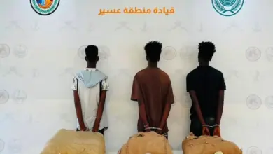 حرس الحدود يضبط 3 مخالفين بحوزتهم 66 كجم من القات