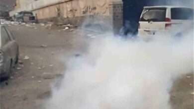 حملة رش ضبابي لمكافحة الحشرات الناقلة للأمراض في مديرية التواهي