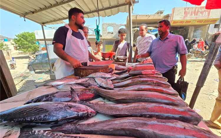 حملة رقابية بالضالع لمصادرة الأغذية المنتهية ومراقبة معايير التخزين والتبريد