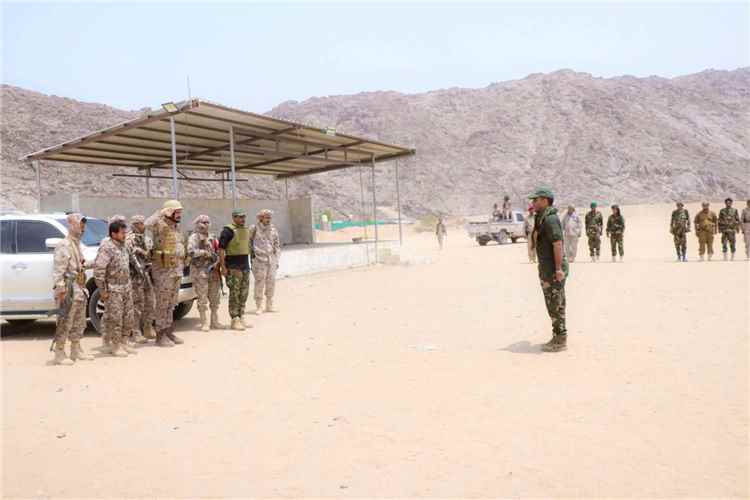 دفاع شبوة تحبط توغلًا حوثيًا وتستهدف مواقع المليشيا بالمسيّرات
