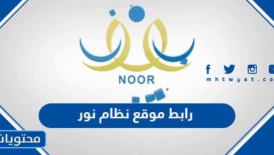 رابط موقع نظام نور