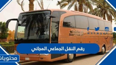 رقم النقل الجماعي المجاني