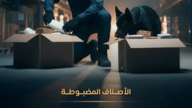 «زاتكا» تضبط 1059 حالة تهريب عبر المنافذ الجمركية البرية والبحرية والجوية