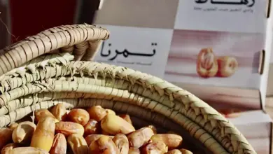 سوق رهاط الموسمي السادس للتمور يواصل دعم المزارعين في محافظة الجموم