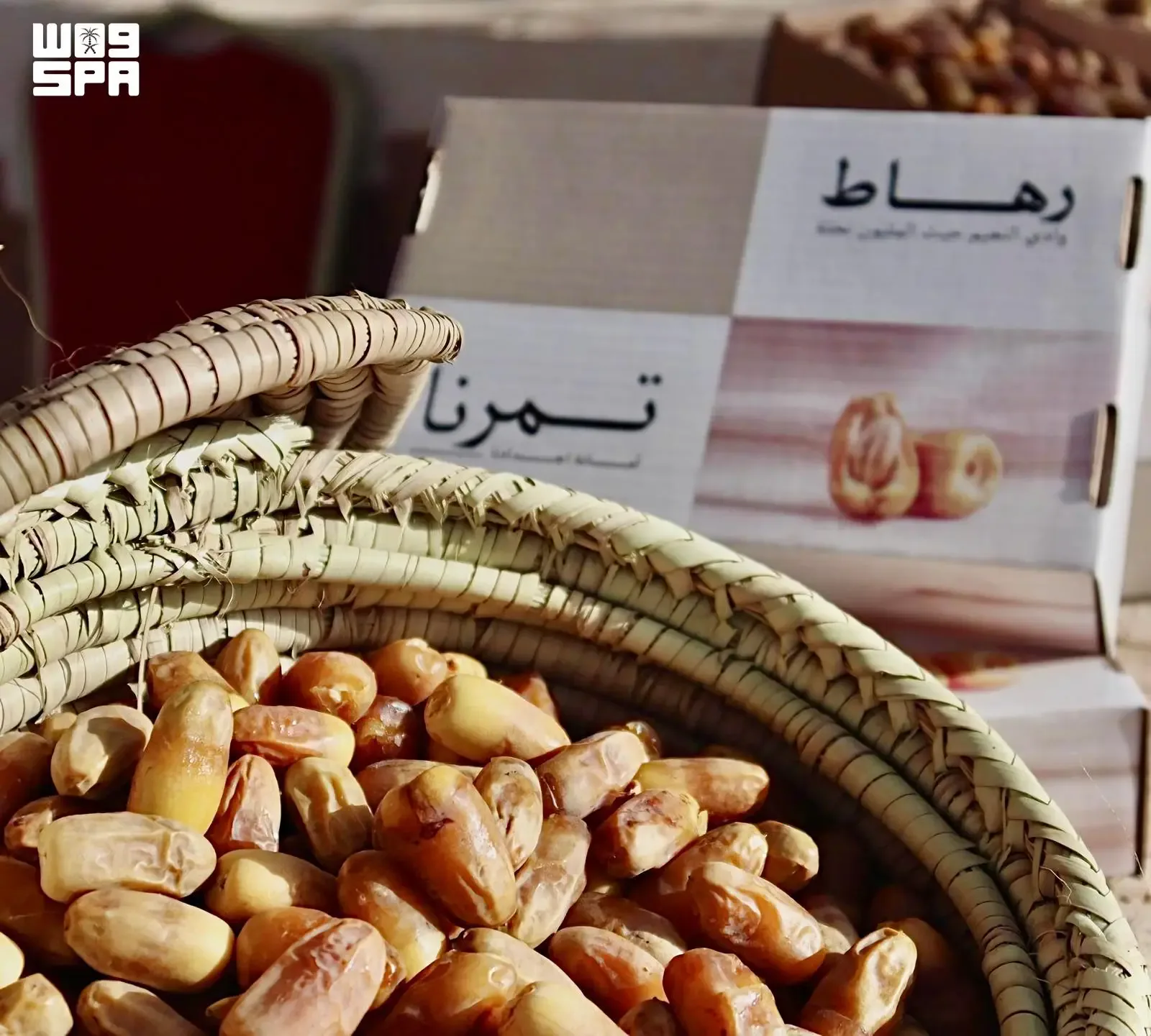 سوق رهاط الموسمي السادس للتمور يواصل دعم المزارعين في محافظة الجموم
