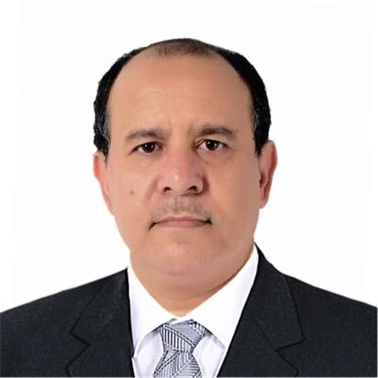 سيف الحاضري يطالب بكشف مصير منظومة اتصالات عسكرية تعاقدت عليها وزارة الدفاع