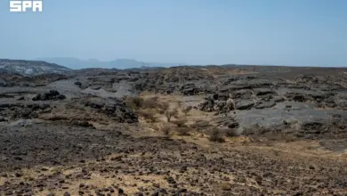 «شعب دحضة» بنجران يكشف أدوات حجرية عمرها 1.8 مليون سنة
