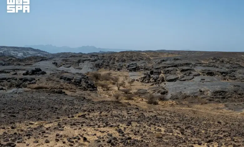 «شعب دحضة» بنجران يكشف أدوات حجرية عمرها 1.8 مليون سنة