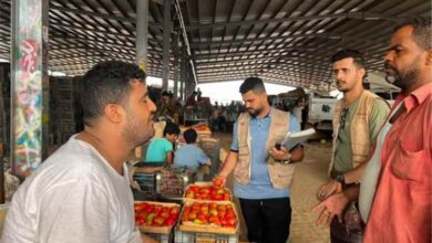 صناعة المنصورة" يُغلق محلات مخالفة بقرارات نيابية ويُمهل وكلاء الخضار 24 ساعة للالتزام بالفواتير