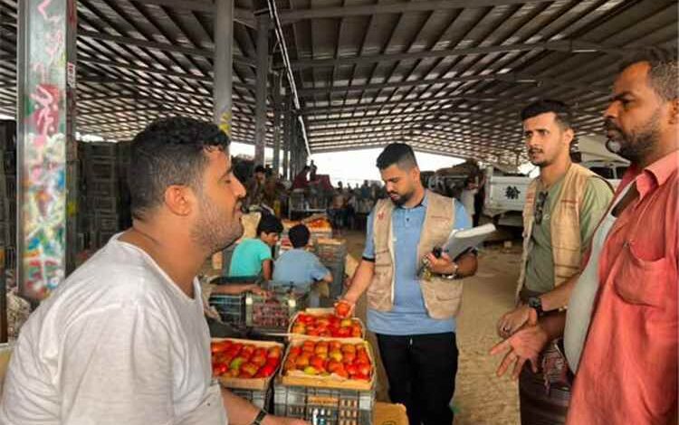 صناعة المنصورة" يُغلق محلات مخالفة بقرارات نيابية ويُمهل وكلاء الخضار 24 ساعة للالتزام بالفواتير