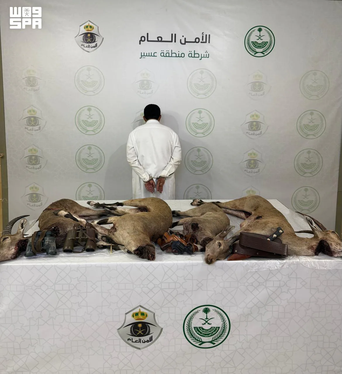 ضبط مواطن صاد «وعلاً» مهدداً بالانقراض في عسير بحوزته مسدس وذخيرة
