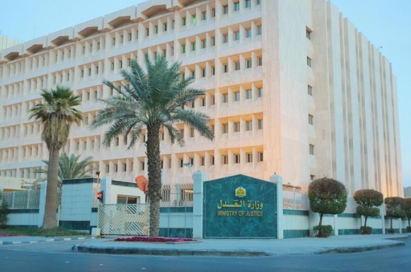 ضمن مشروع لائحة التنفيذ الجديدة.. تنظيمات رقمية وضوابط لمنع السفر وتتبع الأموال المهربة
