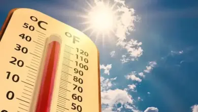 طقس حار وأتربة مثارة على عدة مناطق في المملكة