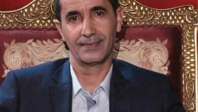 عادل الشجاع: المشكلة ليست في قدرة الحوثي على الضرب بل في اعتياد السلطة على الهجمات