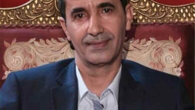 عادل شجاع: شرعية السلطة لا تقاس باعتراف العالم فقط بل بقدرتها على الدفاع عن الدولة