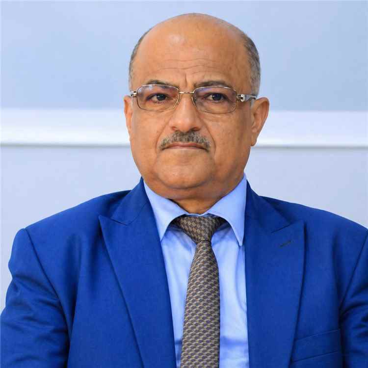 علي الذهب: الحوثيون يركزون على الساحل الغربي لتعطيل الملاحة الدولية