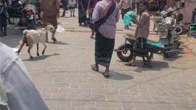 عودة البسطات تهدد انسيابية الحركة في الشارع الرئيسي بطورالباحة