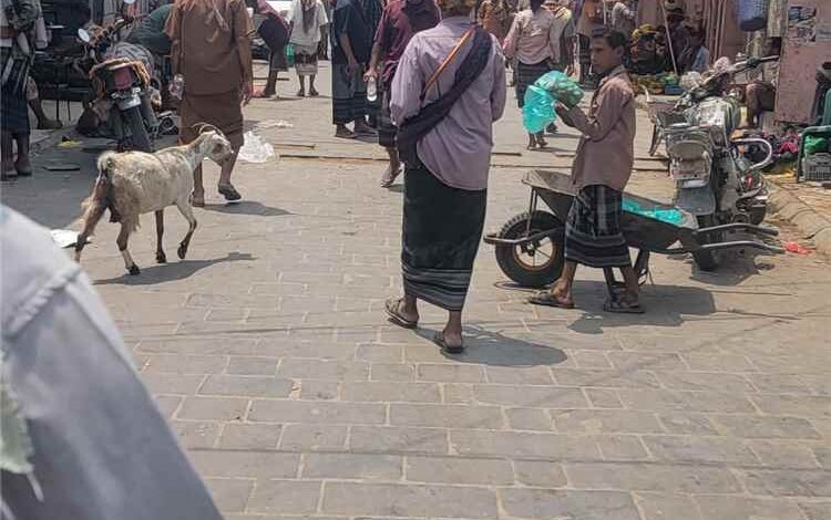 عودة البسطات تهدد انسيابية الحركة في الشارع الرئيسي بطورالباحة