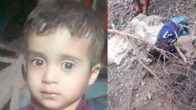 فجيعة تهز (إب)..العثور على طفل في الثالثة مقتولاً بإحدى قمم الجبال بعد 3 أيام من اختطافه