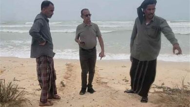 فريق من وزارة المياه والبيئة تتفقد موقع الدمر وغابة المانجروف بالمهرة