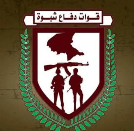 قوات دفاع شبوة تعلن تنفيذ عملية عسكرية واسعة ضد مواقع الحوثيين في جبهة حريب مارب