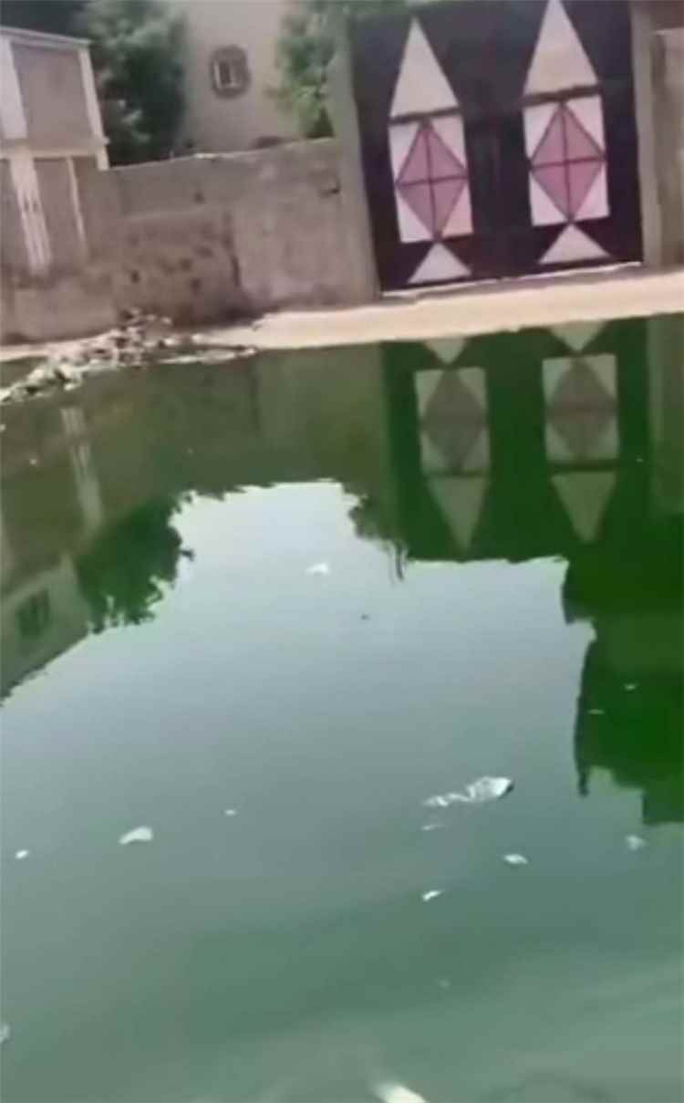 كارثة بيئية تضرب عدن.. طفح الصرف الصحي يغمر منازل المواطنين