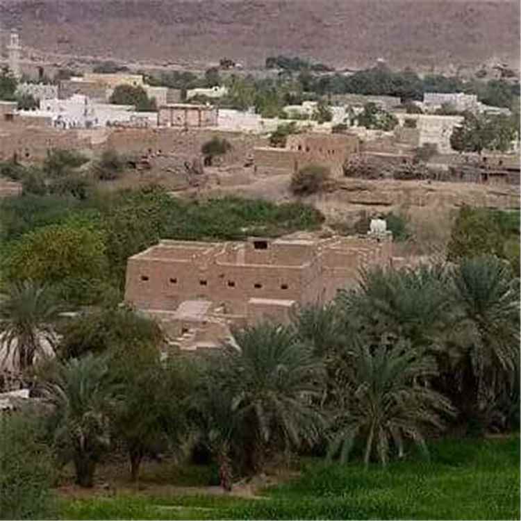 لقاء يناقش اوضاع مديرية السوم في حضرموت