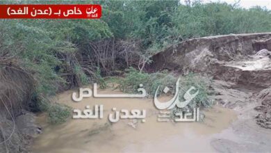 مدير عام مكتب الزراعة والري بأبين يتفقد أضرار السيول في مديرية أحور