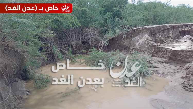 مدير عام مكتب الزراعة والري بأبين يتفقد أضرار السيول في مديرية أحور